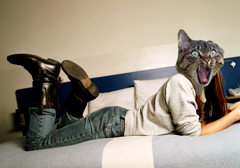 cat power. What if Cat Power was a cat?