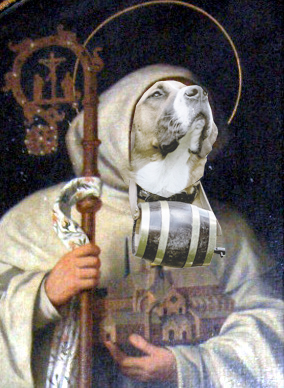 What if St Bernard was a St Bernard?